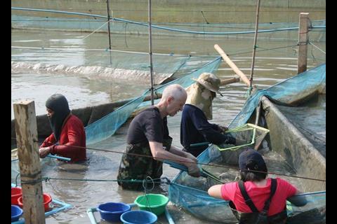 Bjørn Myrseth at a tilapia course at the Asian Institute of Technology in Bangkok in 2012